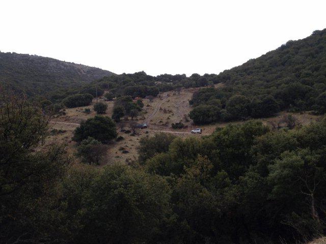 IMG_1008.jpg