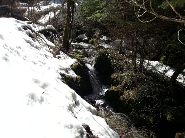 20130224_114544.jpg