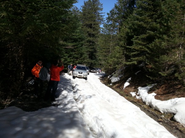 20130224_114612.jpg