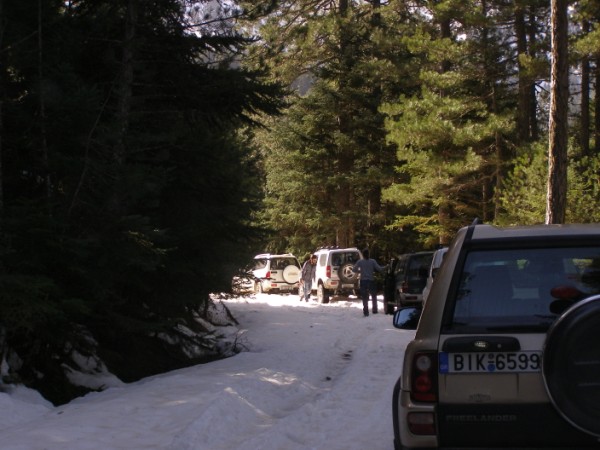 P2243316.jpg