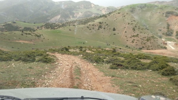 20130407_124453_10847.jpg