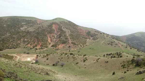 20130407_124951_124583.jpg