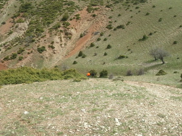 20130407_125645.jpg