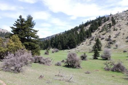 IMG_7659.JPG