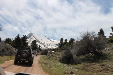 IMG_7684.JPG