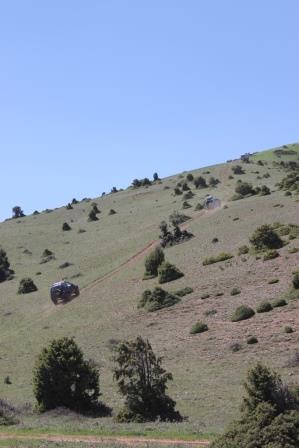 IMG_7708.JPG