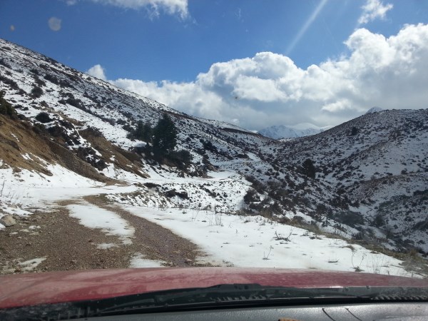 20160320_141308.jpg