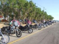 axaia-kal.harley_patra4.jpg